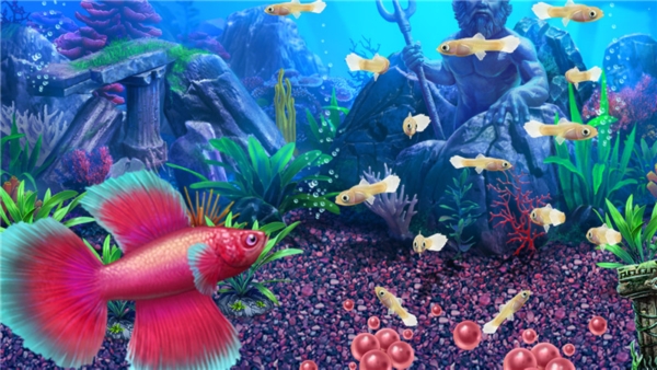 养鱼大亨2虚拟水族馆下载|养鱼大亨2:虚拟水族馆 (Fish Tycoon 2: Virtual Aquarium)硬盘版 下载