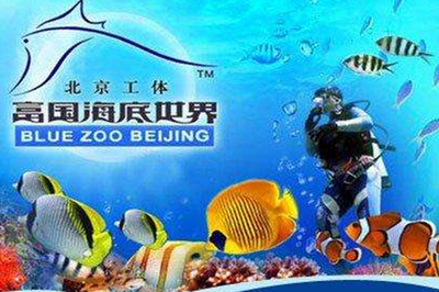 水族馆带你走进海洋深处